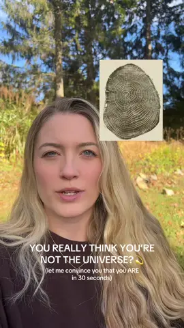 “You are the universe experiencing itself” - Alan Watts 🤍💫🕊️✨ Happy Friday!!! #spirituality #spiritualtiktok #spiritualawakening #universe #healing 