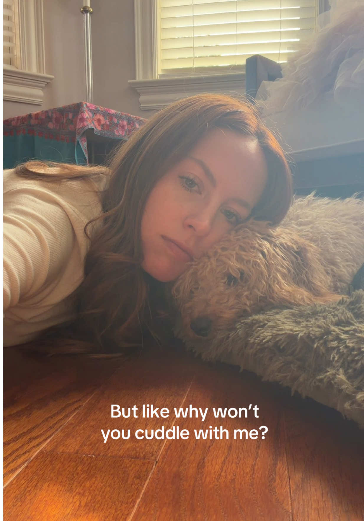 It’s like I have to beg! #minigoldendoodle #hardtoget 