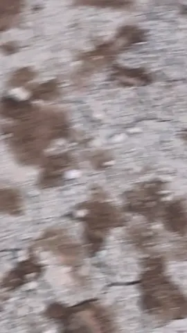 Oktober O nya apa? #promoseruweekend #mxking150 #platkh #mxkingsoloraya🔥 