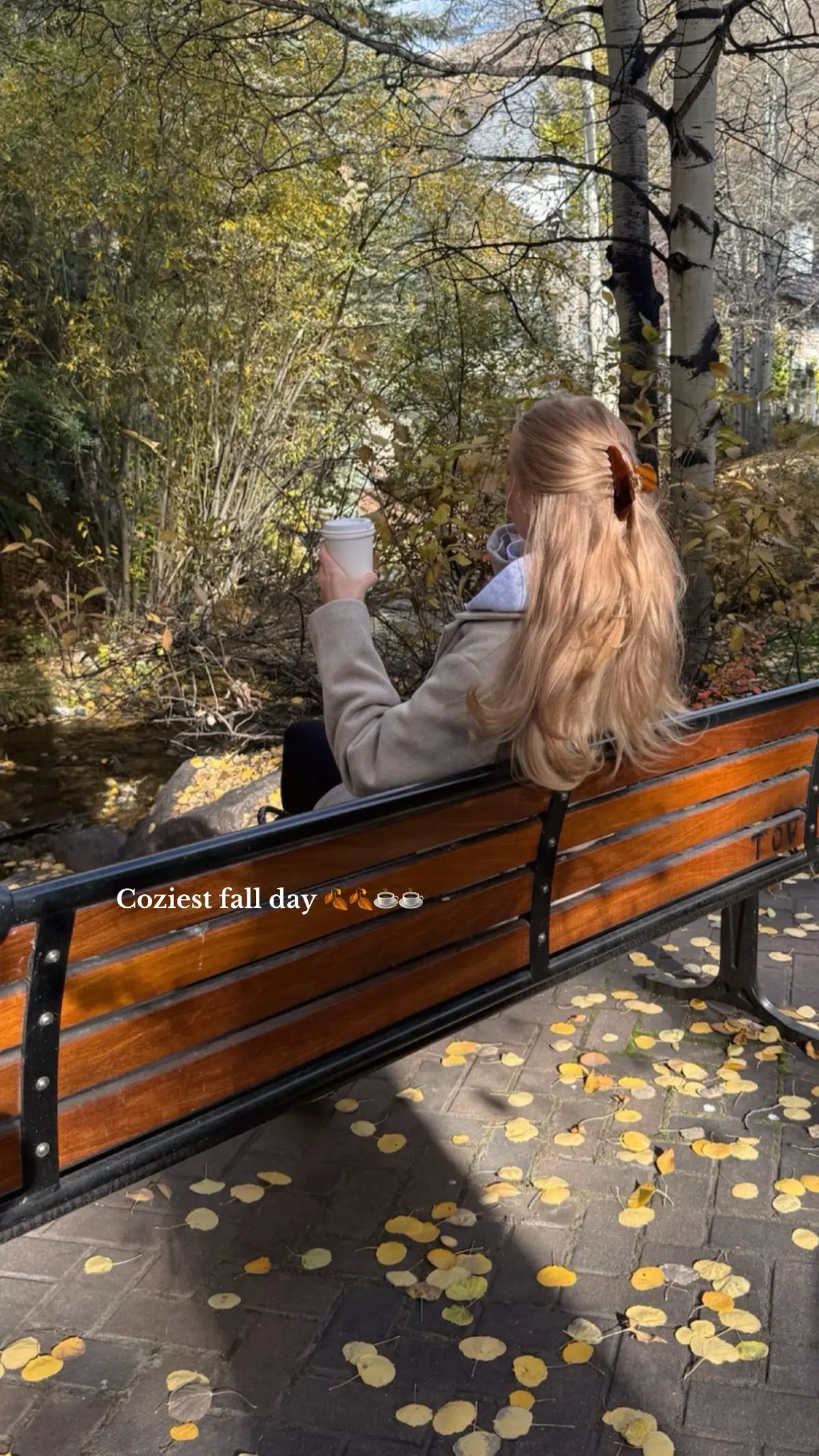 #autumnaesthetic #fallfashion #fallaesthetic #vailcolorado 