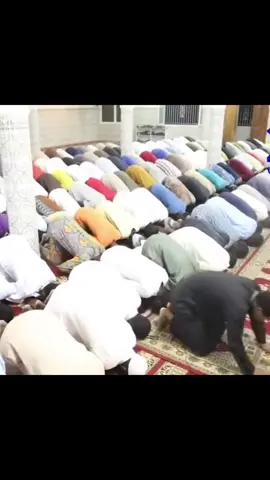 #quran_alkarim #viral #viralvideo #muslimtiktok #islamic_video #creatorsearchinsights 