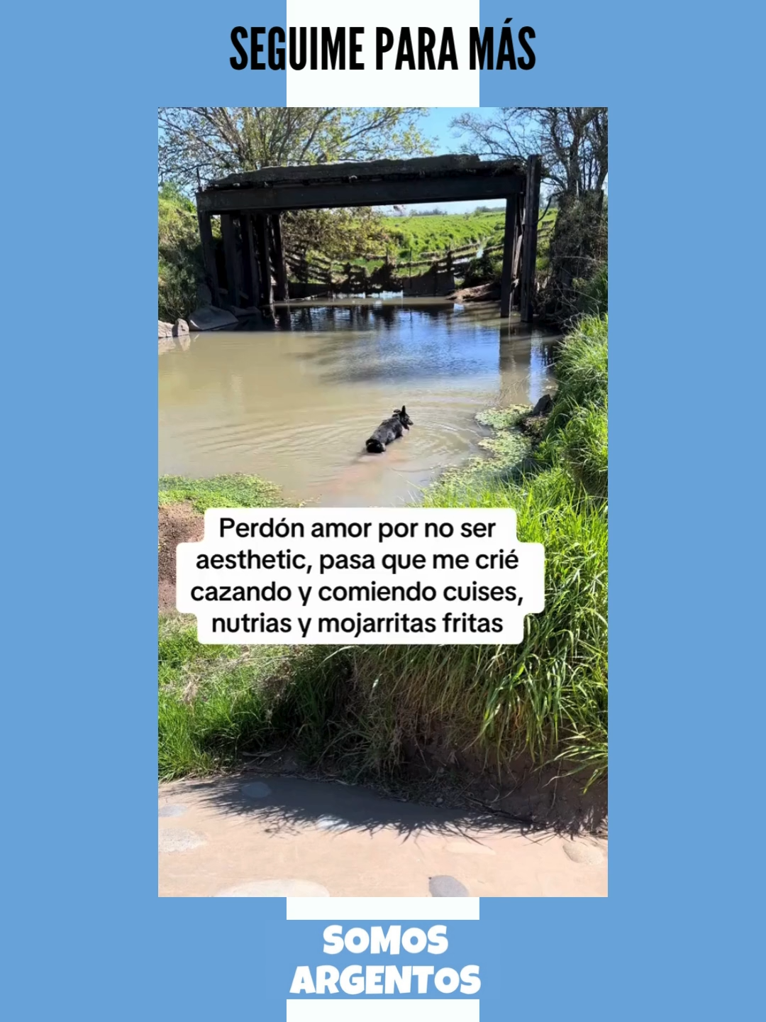 ¡SEGUIME PARA MÁS!