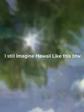 #tropical #hawaii#2000s#fyppppppppppppppppppppppp #vacation 