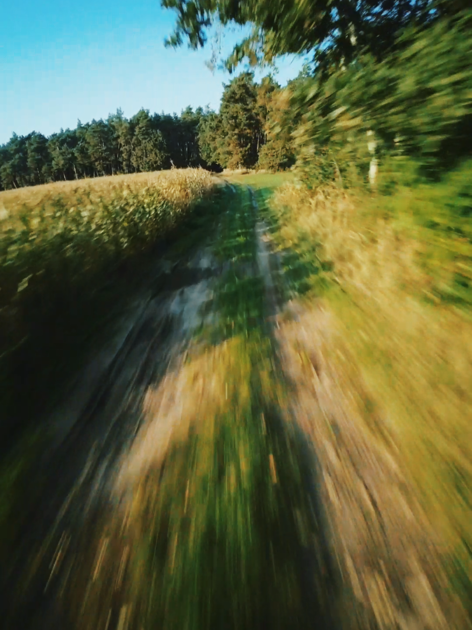 fpv freestyle in trees #fpv #fpvfreestyle #fpvdrone #drone #fpvlife 
