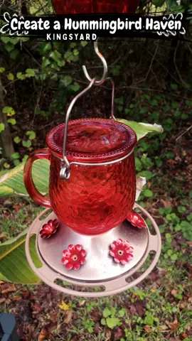 ✨ Turn Your Garden into a Hummingbird Haven ✨  There’s nothing more magical than the flutter of watching those small, beautiful hummingbirds and we're excited to be inviting them to the garden.  The @KINGSYARD.global  Bee & Ant-Proof Glass Feeders (16oz & 18oz) we added are perfect! They keep nectar fresh and cleanup effortless. The sturdy glass and metal design looks beautiful day and night—and thanks to the built-in bee guards and ant moat, only the guests you want will stop by. 🌿  🌼Multiple Sizes, Same Elegance: Choose 16 oz or 18 oz to fit your space.  🌼Bee & Ant Protection: Built-in bee guards and an ant moat keep pests out so the nectar stays pure.  🌼Wide-Mouth Glass Reservoir: Durable, crystal-clear glass is easy to fill and lets you check nectar levels at a glance.  🌼Stainless Steel Hanger & Base: Rust-resistant and strong enough for season-after-season use.  🌼Quick Clean Design: Detaches easily so you can wash and refill without fuss.  Whether you have a balcony, backyard, or a single sunny window, these feeders make it easy to create a safe, sparkling oasis.  💚 Special Offer for You 💚 Check the 1st comment on this post to save on your Kingsyard order. Set it up today, sip your coffee tomorrow, and watch the magic unfold when your tiny visitors arrive.  Collab: #Kingsyard  Tags: #HummingbirdFeeder #BackyardBirding #BirdWatchingDaily #BirdLovers