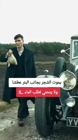 #tiktokviral #for #اقوال_وحكم #explore #tik_tok @خواطر آدم 