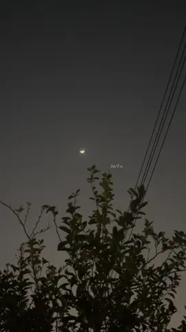 #تصويري📷 #بدون_موسيقى #اكسبلوووور 