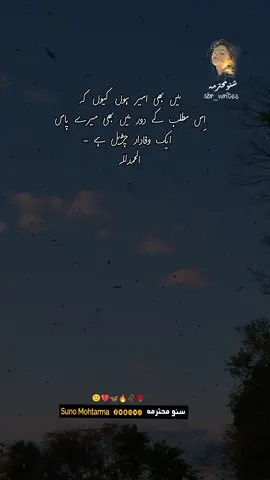 میں بھی امیر ہوں کیوں کہ اس مطلب کے دور میں بھی میرے پاس ایک وفادار  ڈائن ہے #viralvideo #شفیق_بن_رفیق #sbr_writes #viral #viwesproblem 