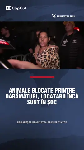 Oamenii rămași pe drumuri după explozia devastatoare din cartierul Rahova se revoltă după ce forțele de ordine le-au interzis să mai intre în bloc. În timp ce unii dintre ei vor să își recupereze documentele sau hainele, alții susțin că în interior ar fi rămas blocată o pisică. #stiri #realitateaplus #Foryou #Romania 