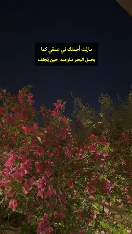 ‏مازِلتُ أحمِلُكَ ‏في عُمقي .. ‏كما يحملُ البحرُ ملوحتَهُ ‏حين يُجفَّف .. sh⬆️#طربيات_الزمن_الجميل_🎼🎶🎻♥️🌹 #حزن #طرب #فيروز #طربيات🎻🎧 