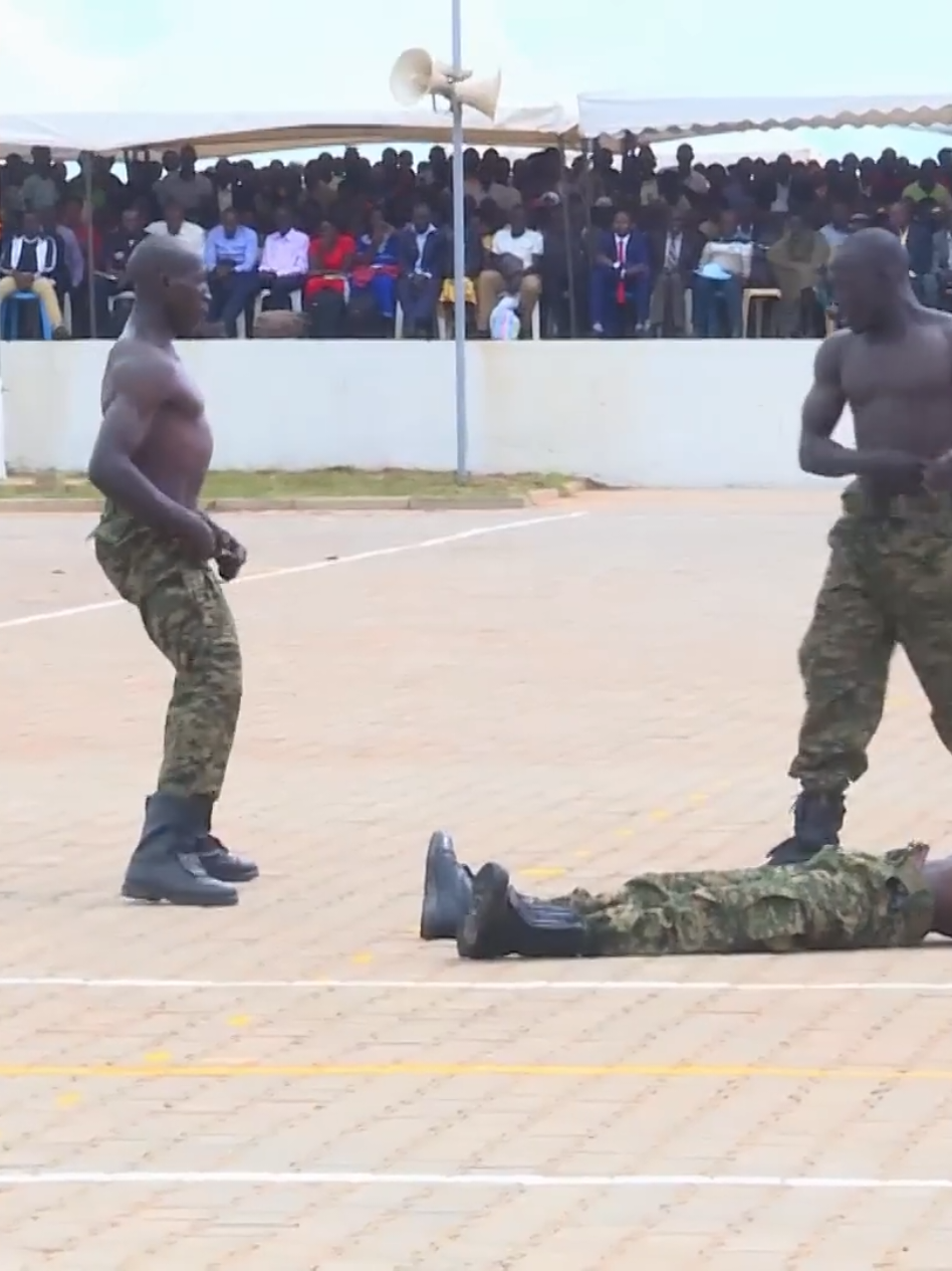 #creatorsearchinsights#comandos #10000views 