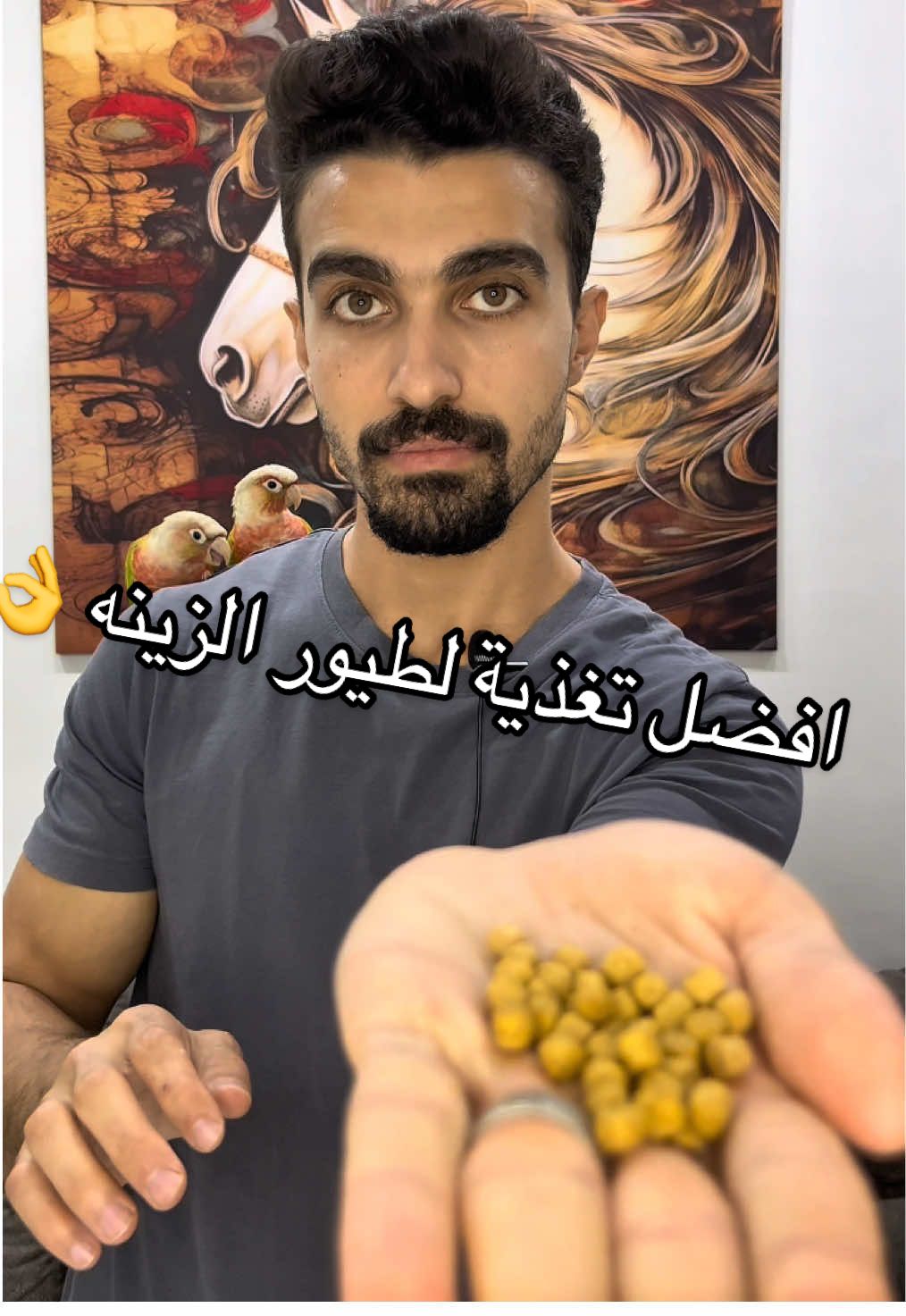 افضل تغذية لطيور الزينة  #كنيور #ترند #ببغاء #تغذية #نظام_غذائي 