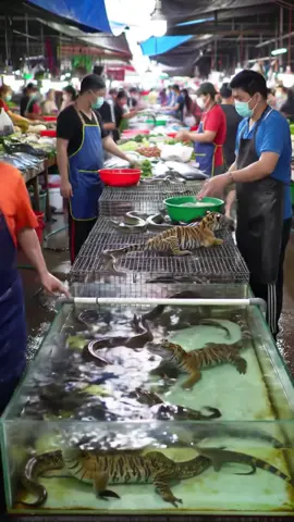 #pasar #pasarhewan #pasarekstrim #au #fyp 