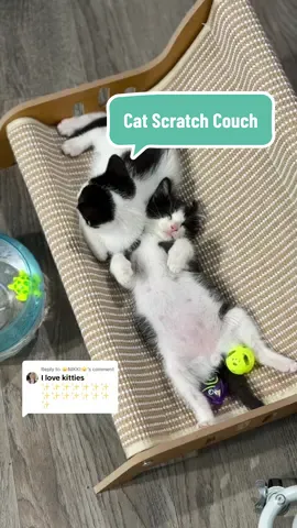Replying to @☀️NIKKI☀️ #catfurniture #scratchingpost #catlover #catsoftiktok #furbabies They love this thing it’s so simple but they love it 🥰 