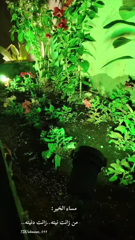 مساء الخير: من زانت نيته..زانت دنيته.. #مساء_الخير #اكسبلورexplore #اكسبلور #تعليق #لايك 