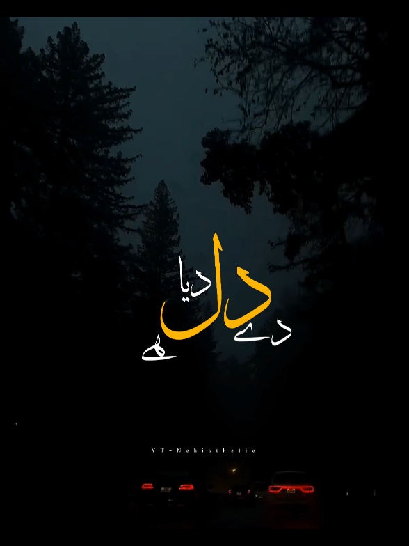 dil de deya hai jan tmhein dengy daga ni kregy sanam ♥️🪽 #capcut #viral #foryou #nehisthethic #lyrics 