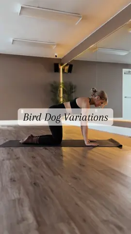 Fun ways to spice up the bird dog exercise 🔥 #pilates #pilatesworkout #workout #exercises #fitnessroutine 