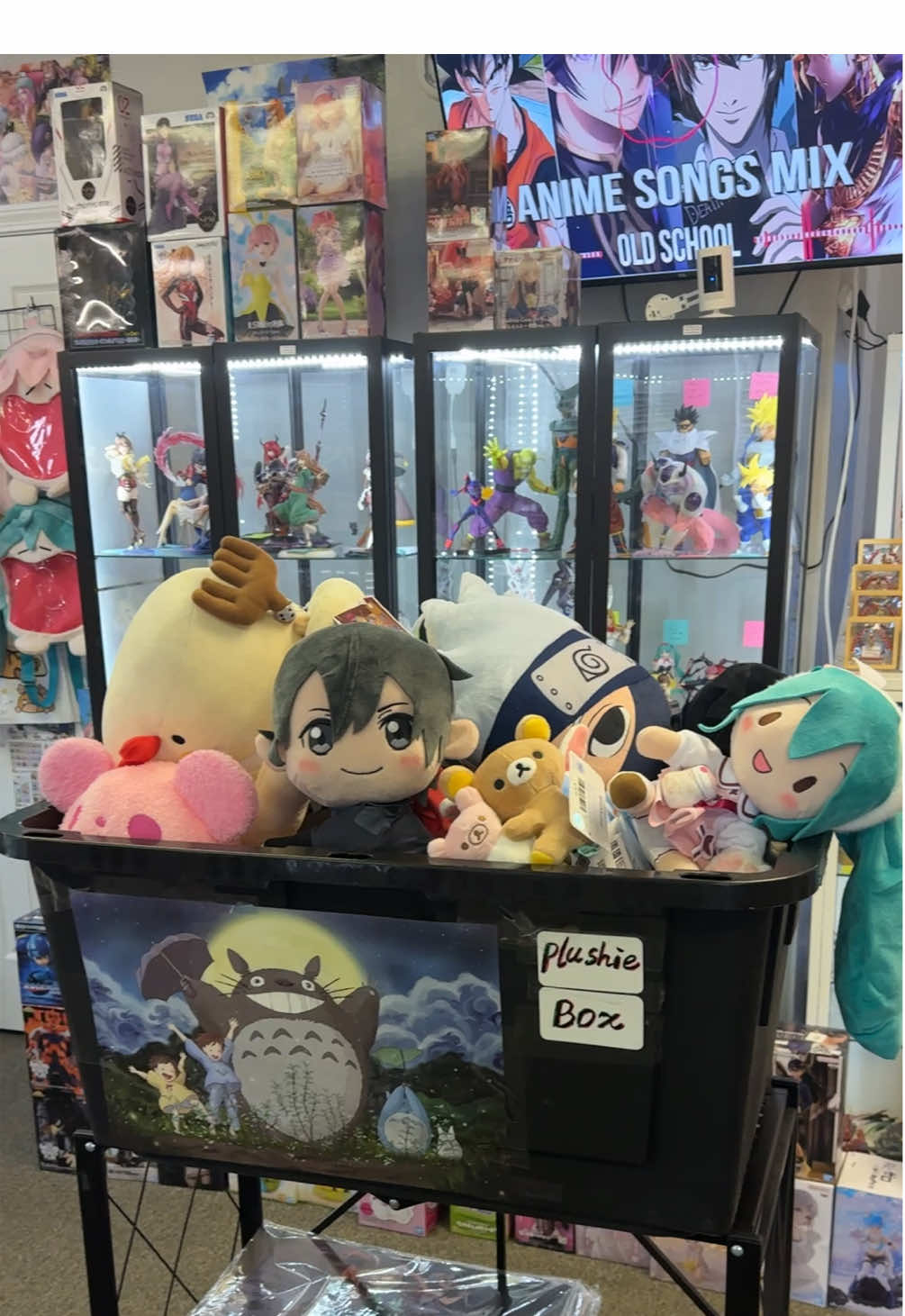 We’ve got so much inventory — come check out our new arrivals! Address: 4111 US-377 Suite 6, Aubrey, TX 76227#animeshop #otaku 