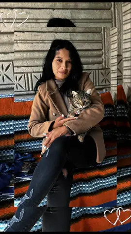 #pisica #cat #fipシviral 