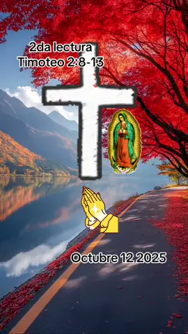 #refuerzatuféyDiostemostraraelcamino #bibliasagrada #todos #parati #lecturabiblicacatolica 