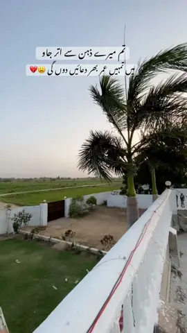 تم میرے ذہن سے اتر جاؤ 😭💔#tearful_memories #rajabbutt#fyppppppppppppppppppppppp #vuralvideos #likes 