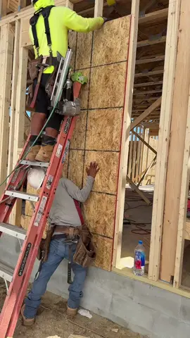 Si tú eres nuevo, esto es para ti #