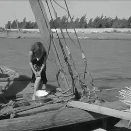 #Sing_Oldies #متابعه_ولايك_واكسبلور_فضلا_ليس_امر ##اغاني_الزمن_الجميل #اغاني_حب #ستوريات_عراقيه 