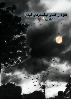 #اللهم_صلي_على_نبينا_محمد  #تحياتي_لجميع_المشاهدين_والمتابعين  #تصوري_احترافي_الاجواء👌🏻🕊😴 
