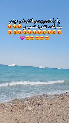 #malak #ملوكه #بحبها #ملك 