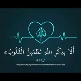 الشيخ ماهر المعيقلي #سورة الرعد 