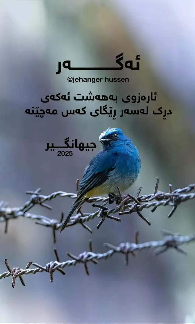 #mravo✅ #morveiw #tiktoklongs #morveiwplzzz🙏❤️❤️ #پەندووانە 