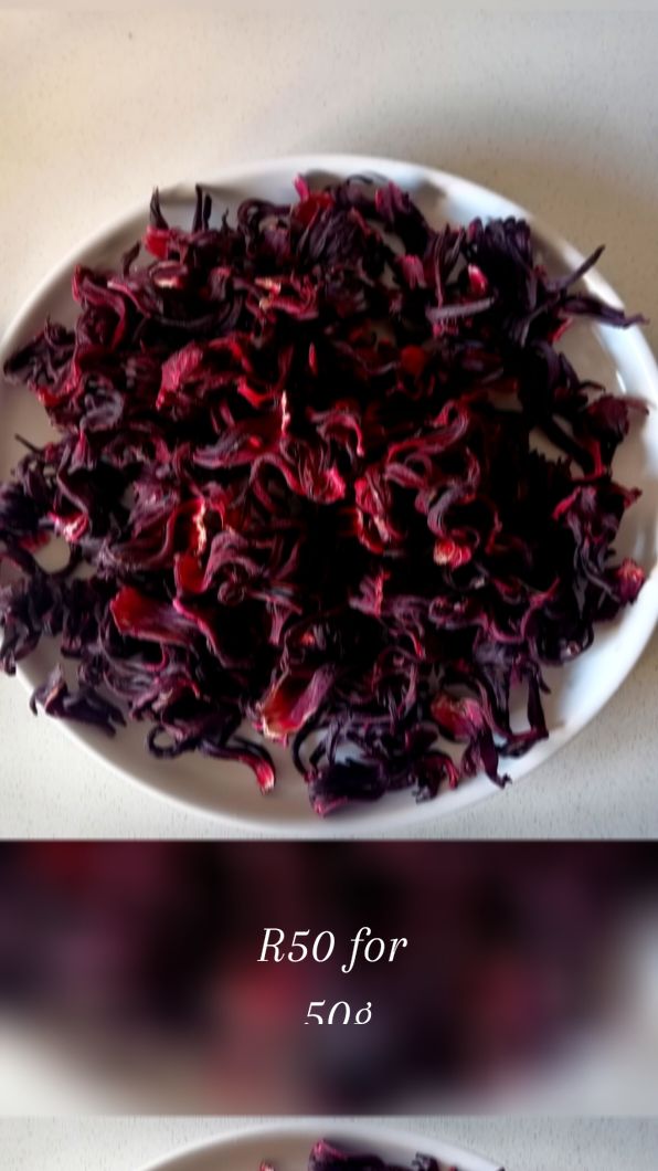 Hibiscus Leaves  0. 6. 5.92.3.0.2.2.5. R50 #foryou #hibiscusflower #hibisucus  #pretoria 