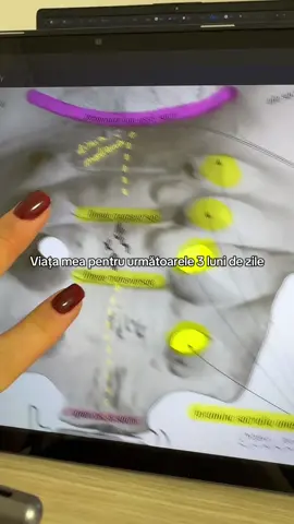 🤓 #student #medstudent #medschool #anatomy #viralro 