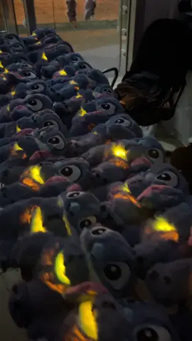 Stitch 🥹 #stitchlover 