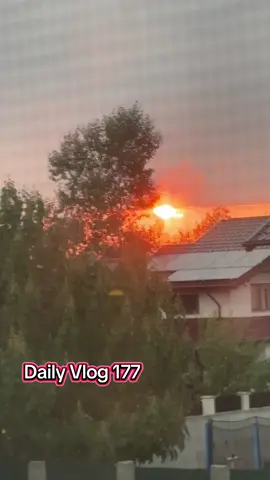 Daily Vlog 177 #fypromania #românia #viral #Vlog 