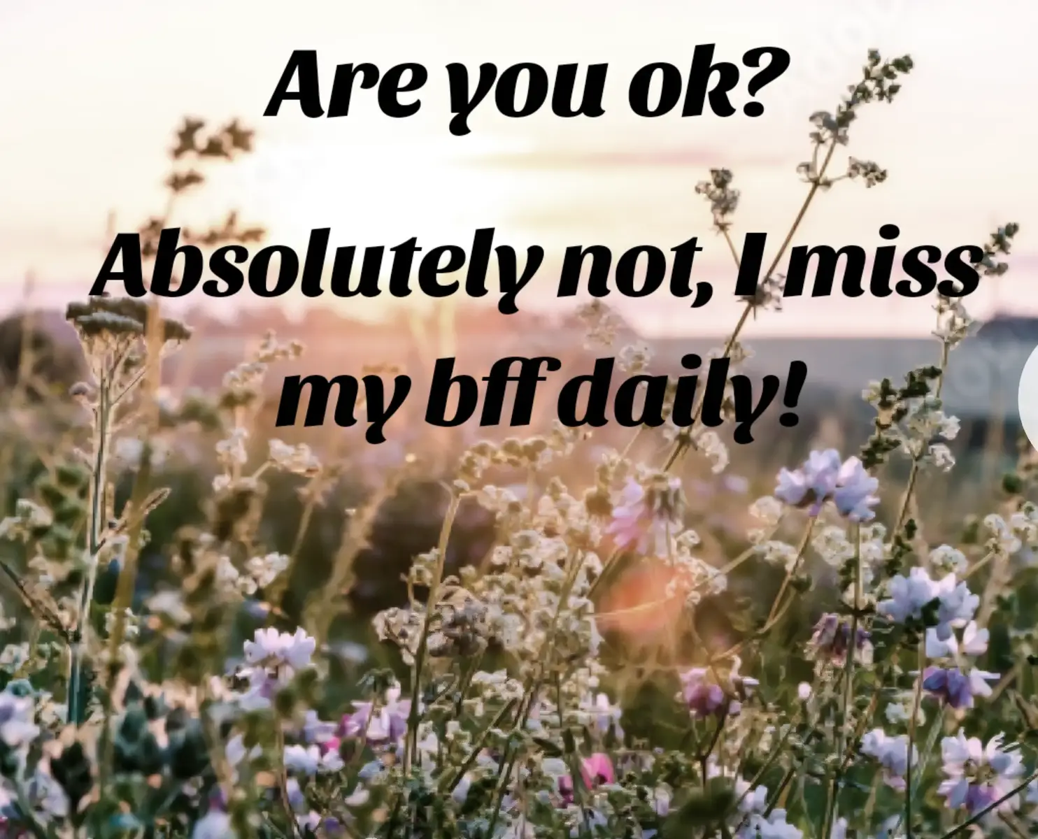 Ill forever miss you. I hate this trend with people crying over the distance when they can actually go visit. I would drive as many miles and hours as it took to spend even one more day with you. But let's be honest, one day wouldnt ever be enough.  I love and miss you so much Satien Marie. 