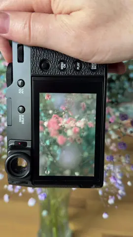 🌸 Daydreaming — my newest film recipe. A few tips if you want to shoot dreamy scenes like this: 1️⃣ Backlight softly. Don’t chase the sun — let it spill in from the side or behind your subject. 2️⃣ Layer your frame. Shoot through something (flowers, glass, haze) to add depth. 3️⃣ Stay wide open. f/2 or lower if you can. Let the blur do half the storytelling. 4️⃣ Underexpose slightly. Keep those tones delicate and the mood intact. 5️⃣ Trust your instinct. If it feels calm, you’re already there. #clickswithalex #photography #fujifilm #x100vi #sooc 