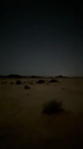 #البر #viralvideo #foryou #capcut 