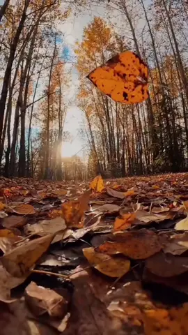 #🖤  #😔😔😔 #💔💔 #