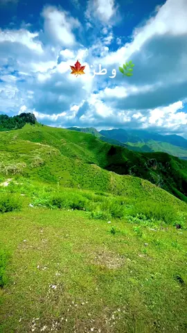 وطن سمپوگ ٹاپ#110kviews #fyp #foryoupage #fypage #viral 