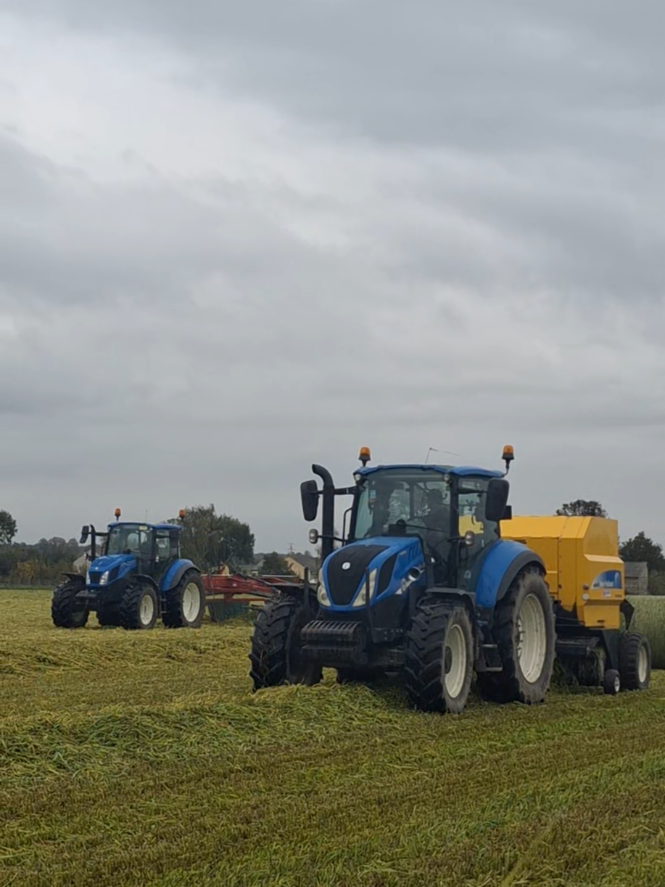 lecimy oporowo🚨😝w 🌾GR KUBIACZYK🌾 @GR Kubiaczyk @GR_Kubiaczyk @Wojciech Kubiaczyk @Mrówa😈 @poprostulary @🪼 @Marcel Janecki @Słoma @ŁÓDZKIE AGRICULTURE @Adamtoja @🌾 PATRYK🌾 @Kleksu @Rogatek @♡sandra♡ @lakomskapozdro @Kacper Borowczyk @AgroTeam_Lodzkie @🔥TEAM RABENDA🔥 