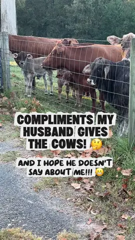 I know y’all have old sayings like Louisiana!! I just don’t want any of these said about COWS said about me!! 😂😂😂😂 BUT I will admit the old gray mare ain’t what she used to be!! 🤪🤭🤭🤗💖💖💖💖#cow #farmlife #cattle #funny #justforfun 