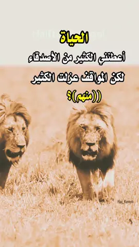 #tiktok #fyp #أسبانيا #أسبانيا 