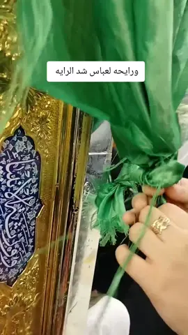 دخيلك يا أبا الفضل العباس #الامام_العباس_عليه_السلام🍂 #كربلاء_المقدسه 