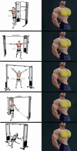 Full Chest Day Routine #2workout #Fitness #workout #motivation #fitlife #training #exercise #health #bodybuilding #fitfam #cardio #strength #wellness #healthy #workoutroutine #workoutmotivation #homeworkout #gymworkout #fitnessmotivation #gym