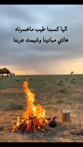 اليا كسبنا طيب ماخسرناه هاذ مابدينا وشيمت عربنا 