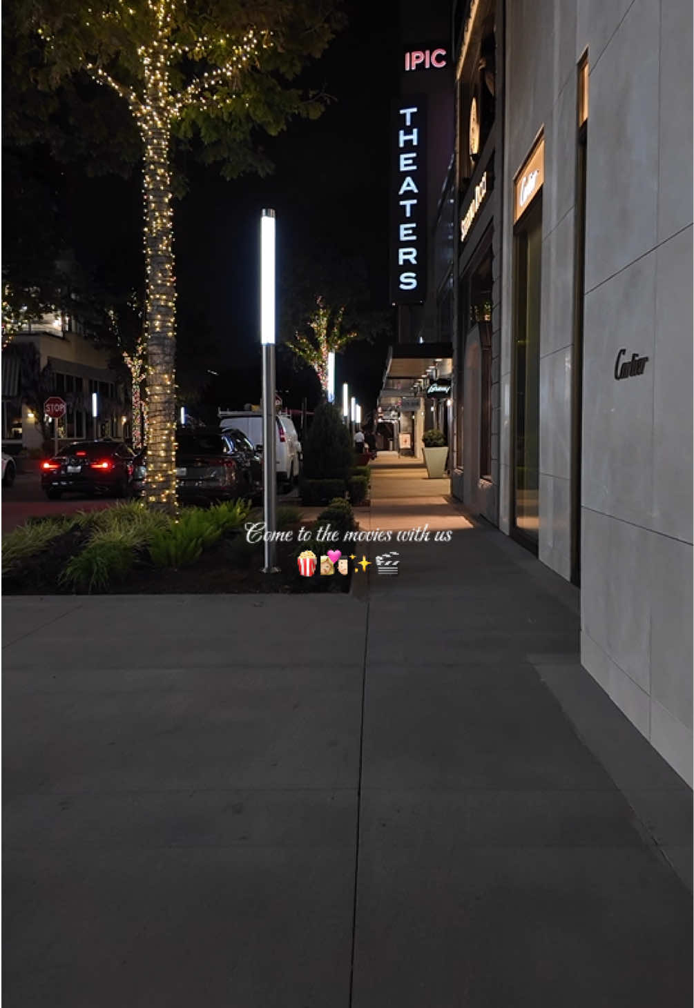 movie night pt. 2 at ipic con mi 👩🏼‍❤️‍💋‍👨🏻 #fyp #minivlog #couple #movie #cute 