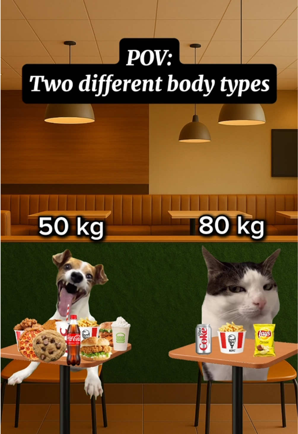 Lucky vs Unlucky  #catmemes #foryou #relatable #cat #fyp 