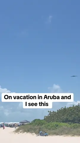 Do they have airshows in Aruba now? #b2 #aruba #vacation #beach #flying #b2stealthbomber #b2bomber #usnavy #usarmy #usairforce #airforce #usaf #tiktokshop 