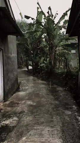 #CapCut ##سيدفاقدالموسوي💔💔💔 #باسميه_عشاق_باسم_الكربلائي_باسميات #احمدالوائلي_رحمه_الله #شعب_الصيني_ماله_حل😂😂 